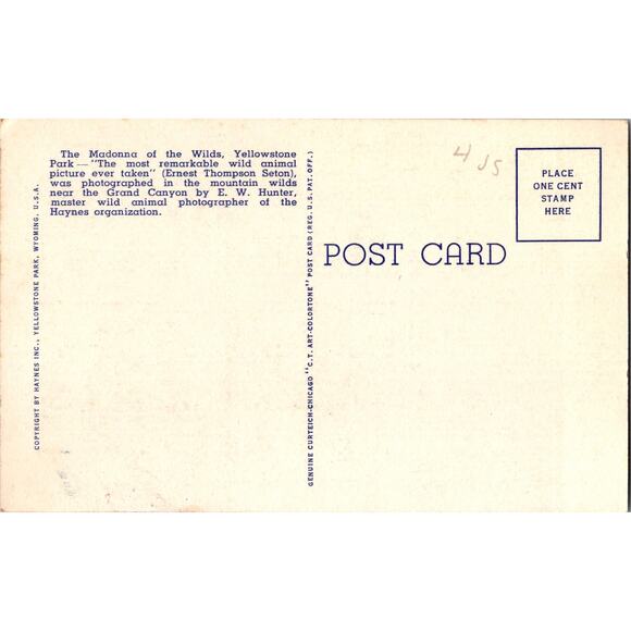 The Madonna Of The Wilds Yellowstone National Park Vintage Postcard SPE22 - Picture 2 of 2